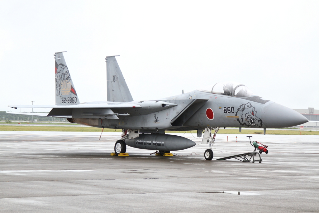 F-15 特別マーキング