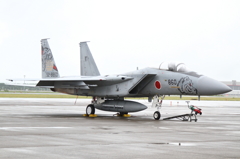 F-15 特別マーキング