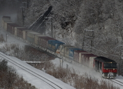 20160208-11 (38)