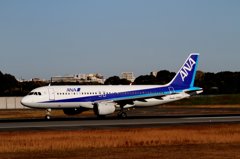 20121125 (10)