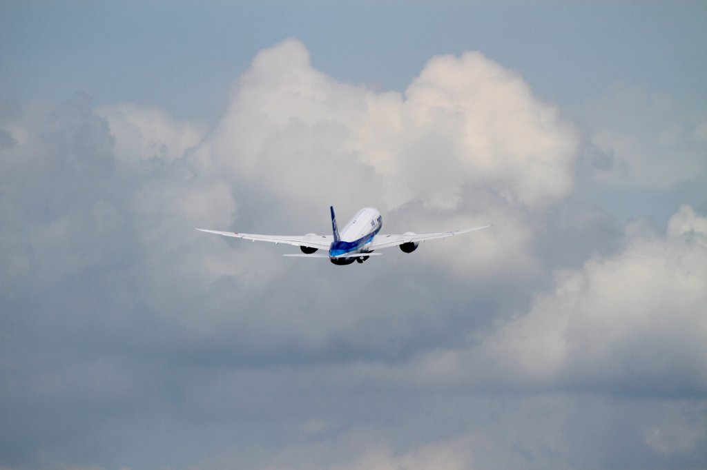 ANA B787-8