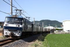 20150621 (19)
