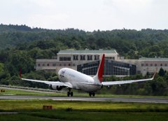 JAL B737-800