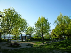 青と緑の夕刻