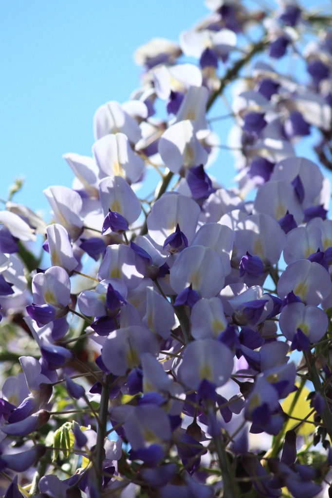 太陽に照らされて(2)