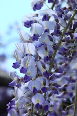 太陽に照らされて(1)