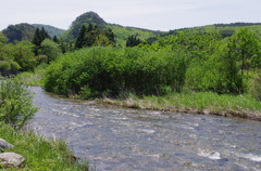 IMGP3154