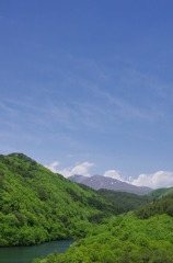 新緑
