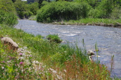IMGP3188