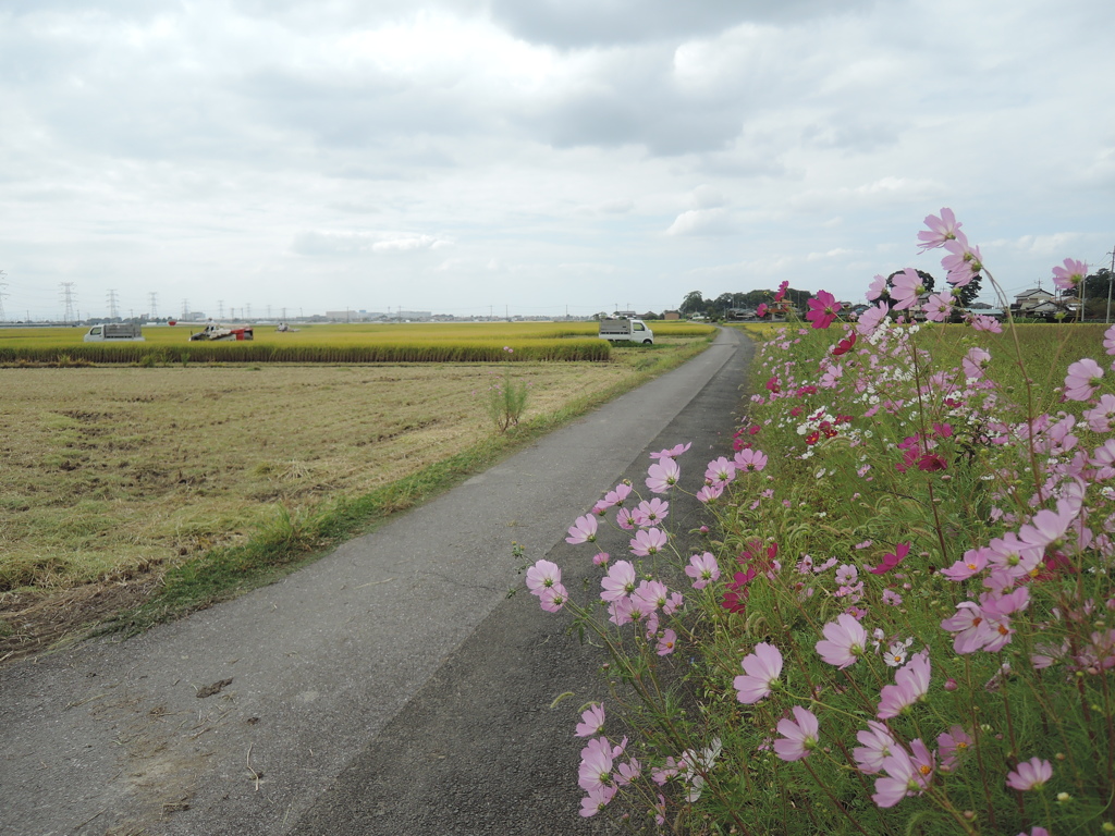 DSCN1680