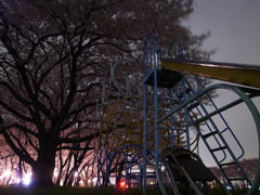R0034946