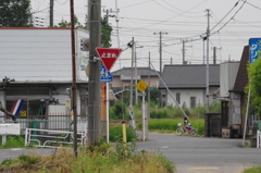 IMGP5161