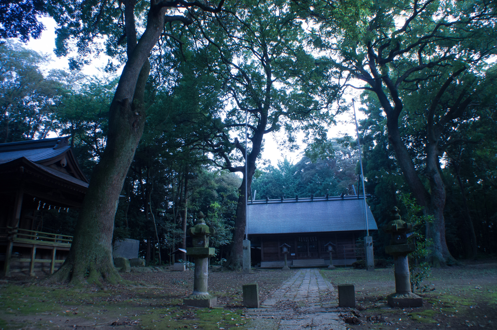 IMGP6627-2
