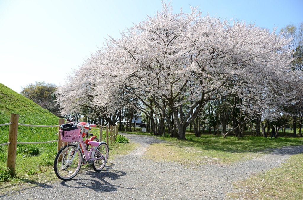 903323_368871339894774_449668035_o