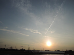 DSCN7783