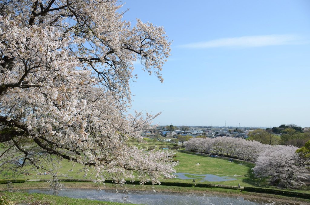 882951_368869679894940_1531841279_o