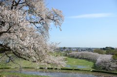 882951_368869679894940_1531841279_o