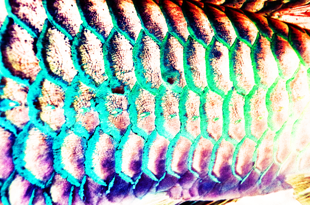 R0024353-2