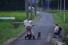 IMGP5303