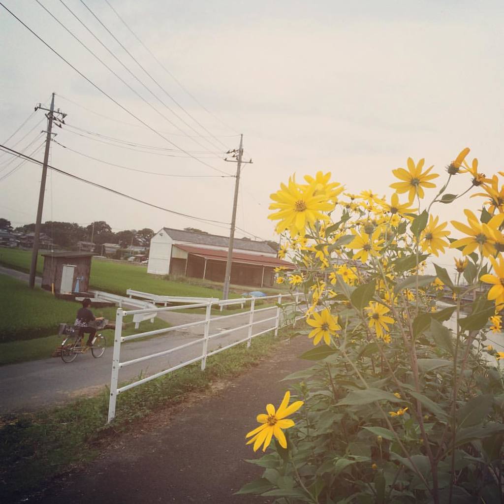 12038740_839797859468784_183134124495372