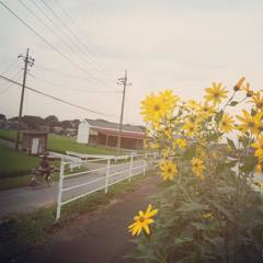 12038740_839797859468784_183134124495372