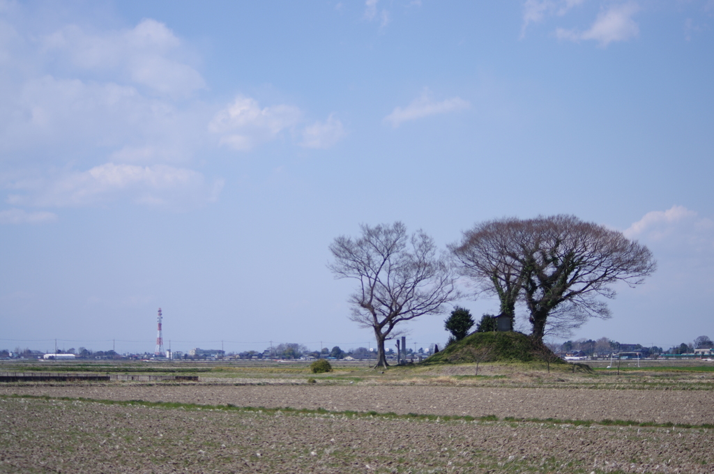 IMGP9860