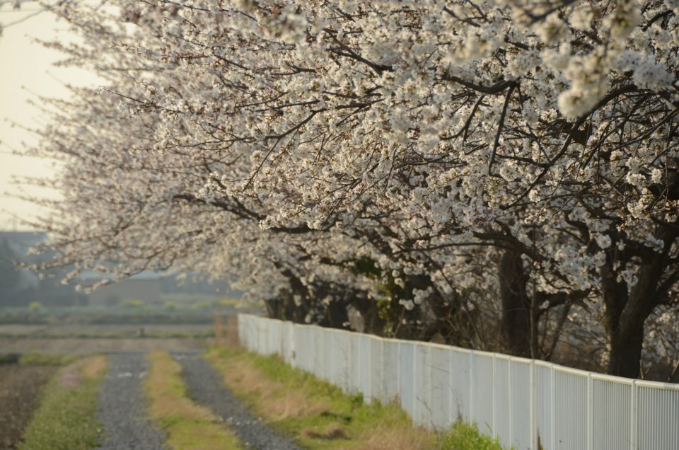 157017_365690830212825_1891639876_n