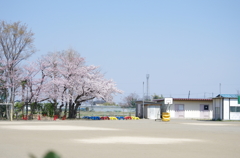 K5GP7183