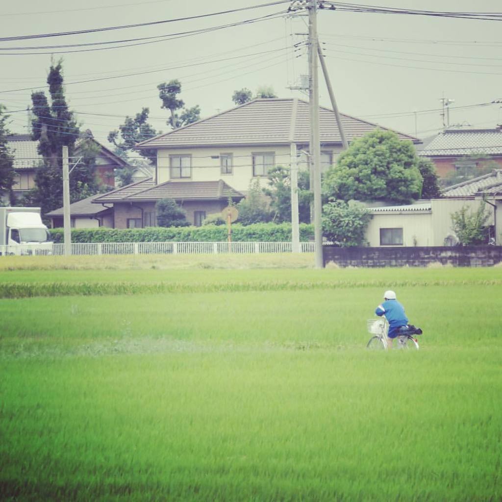 12017667_841126706002566_230090090181825