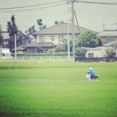 12017667_841126706002566_230090090181825