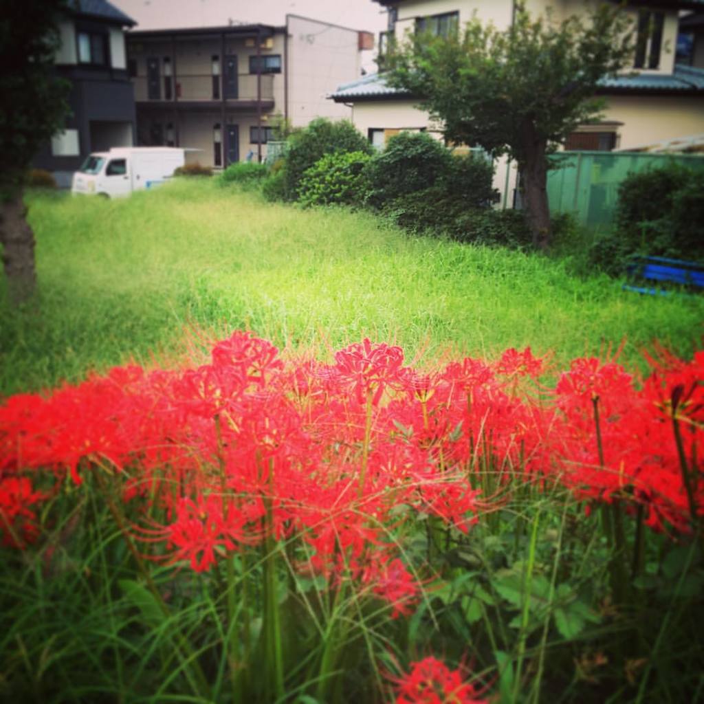 11958295_839716072810296_304184053850370