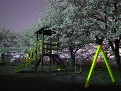 R0034599