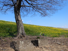 R0032666