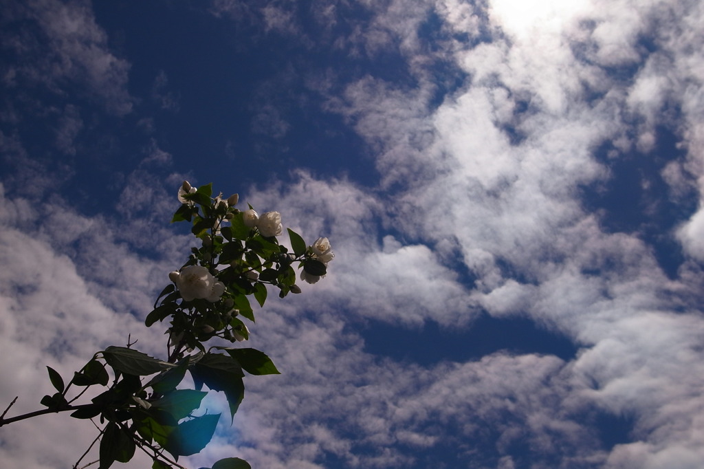 R0016879