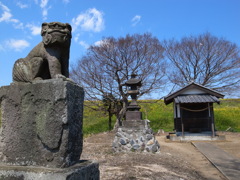 R0032696