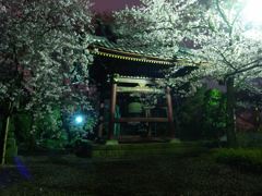 893696_367154750066433_2768236_o