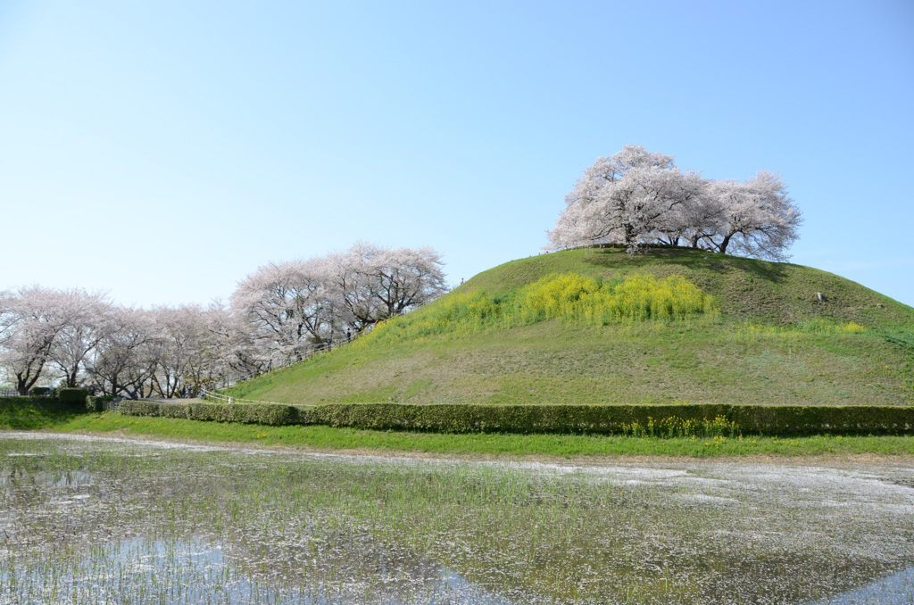 883057_368872516561323_1724059706_o