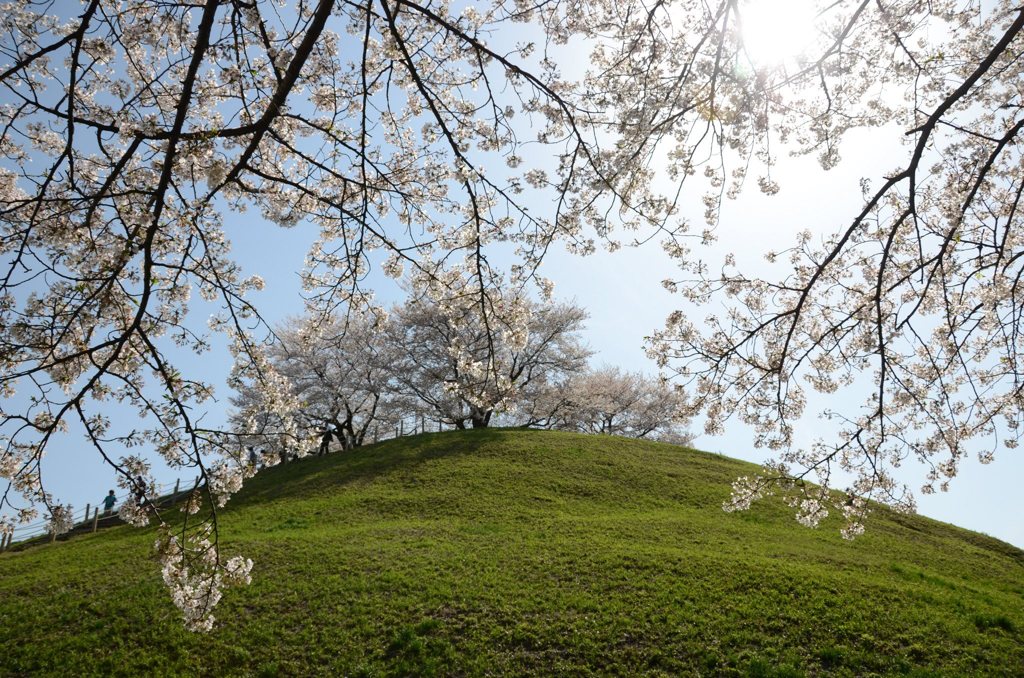 882225_368871549894753_1840621529_o