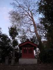 R0032533