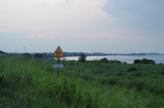 IMGP1781