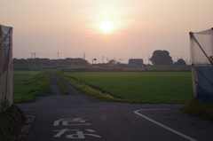 IMGP5278