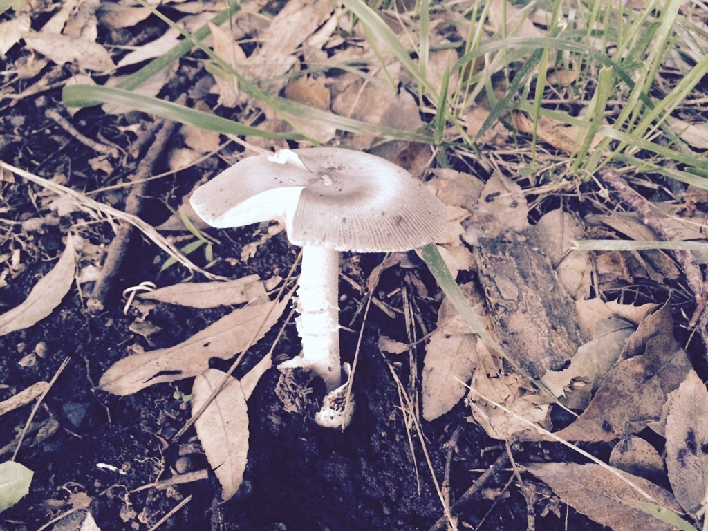 017f598d33fa436b2471c2fe4a69e1acfae7e5af