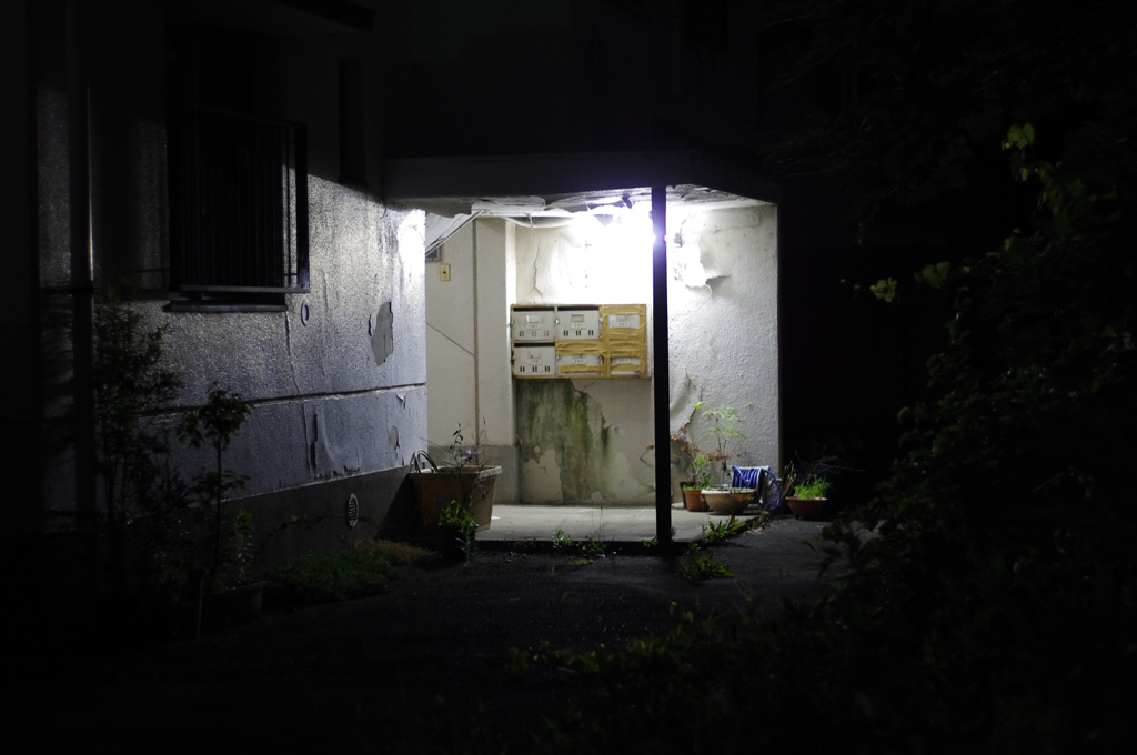 IMGP4797