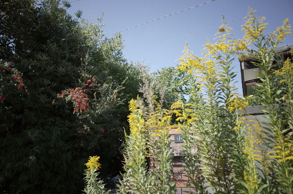 R0038782