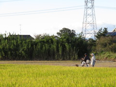 IMG_0500