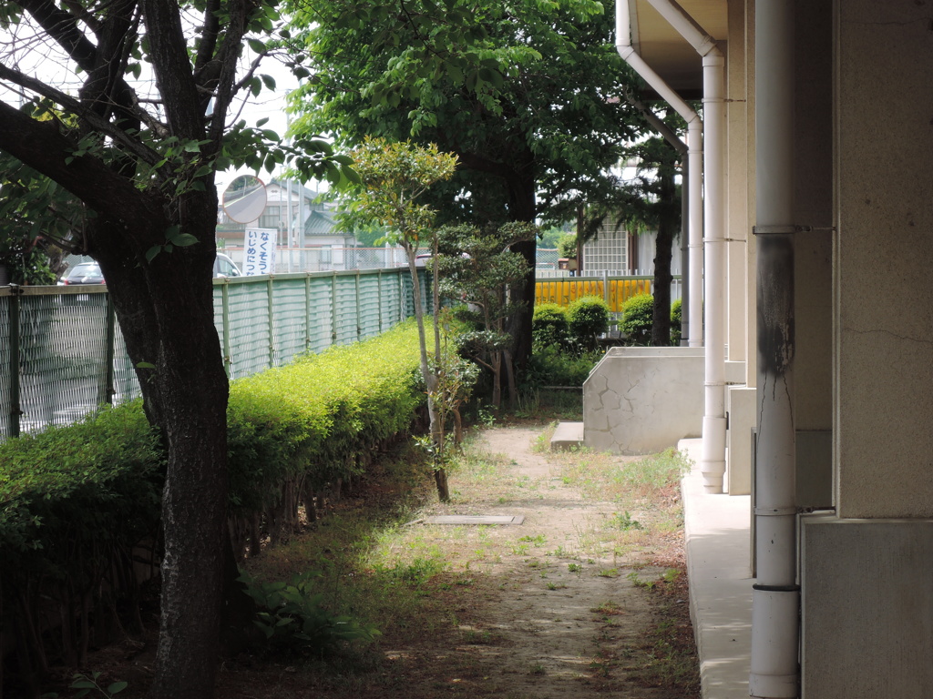DSCN4639