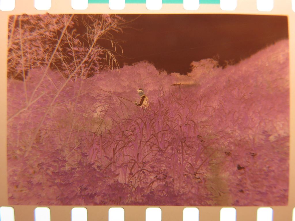 12195022_863768410405062_658673334796950