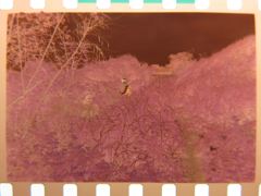 12195022_863768410405062_658673334796950