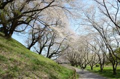 893043_368872023228039_197332290_o