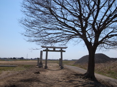 R0032708